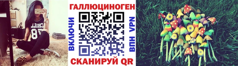 Купить где  Сорочинск  Псилоцибиновые грибы Magic Shrooms 