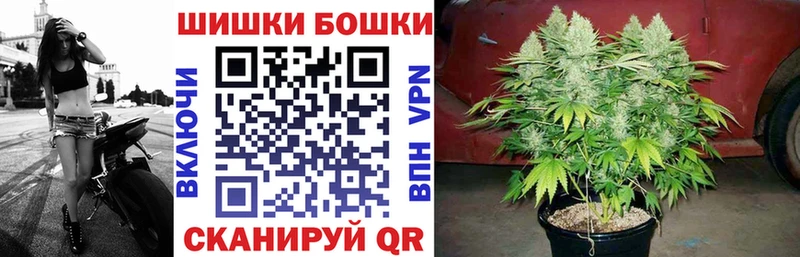 Купить  Сорочинск  Конопля OG Kush 